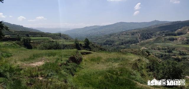 裸辞如何保证社保不被中断