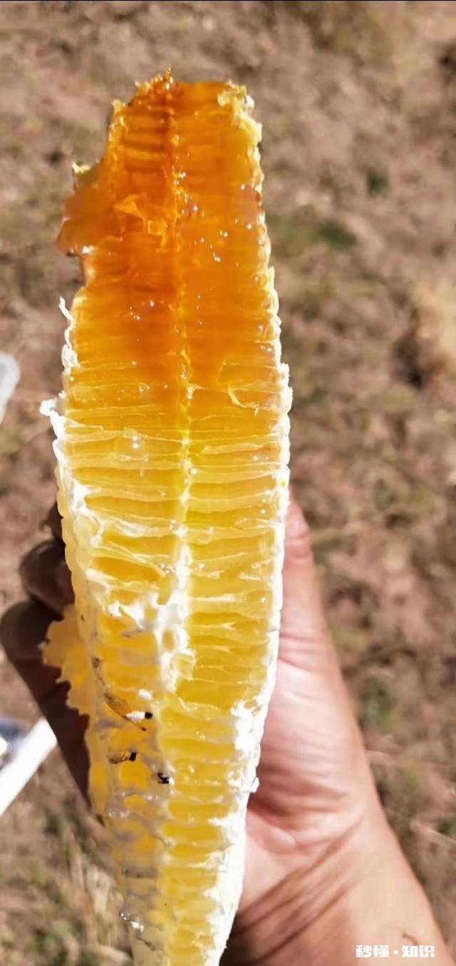 蜂蜜是舌尖上的甜食，是很多人喜欢的食品，有人说蜂蜜能储存10一20年之久，为什么能储存很久