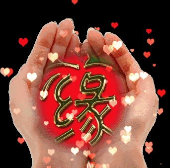 你们现在是和自己最爱的人在一起生活吗