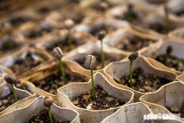 三农达人该如何带动农村发展