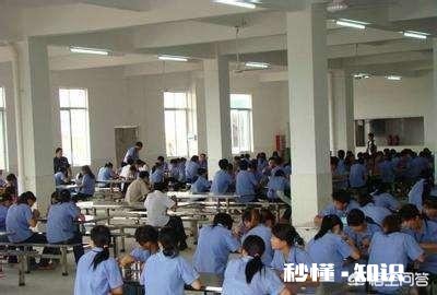 三农达人该如何带动农村发展