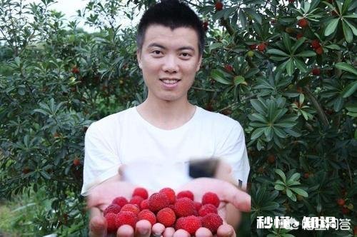 三农达人该如何带动农村发展