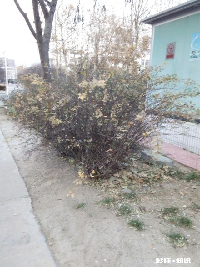 这张图片的含义,你能领会得到嘛