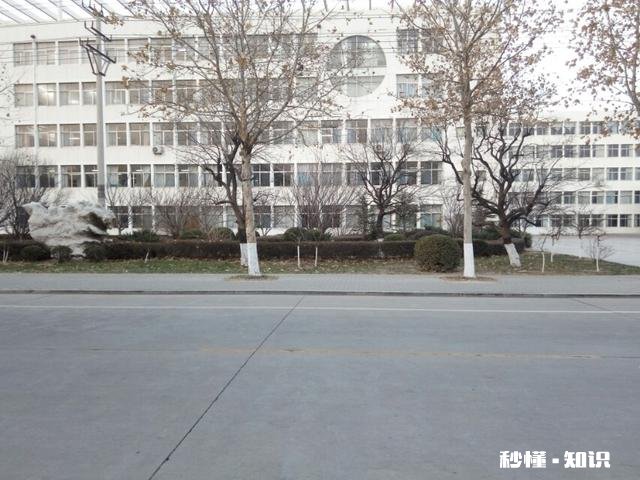 这张图片的含义,你能领会得到嘛