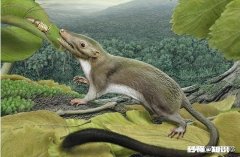 水是生命之源，一切生命都应该是从水里发展而来，包括人类自己，对吗