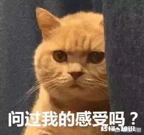 双眼皮割多宽最好看有什么好建议