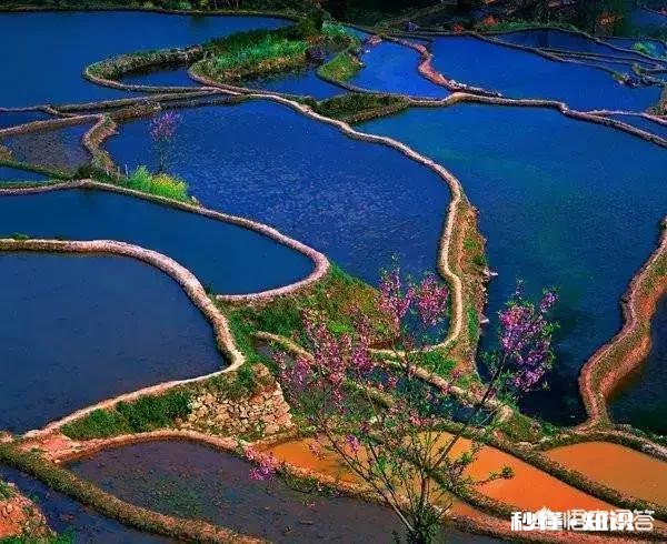如何使用光圈优先与快门优先有哪些小技巧
