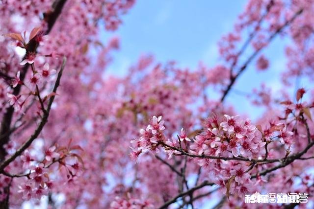 如何使用光圈优先与快门优先有哪些小技巧