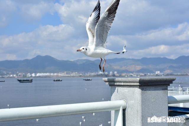 如何使用光圈优先与快门优先有哪些小技巧
