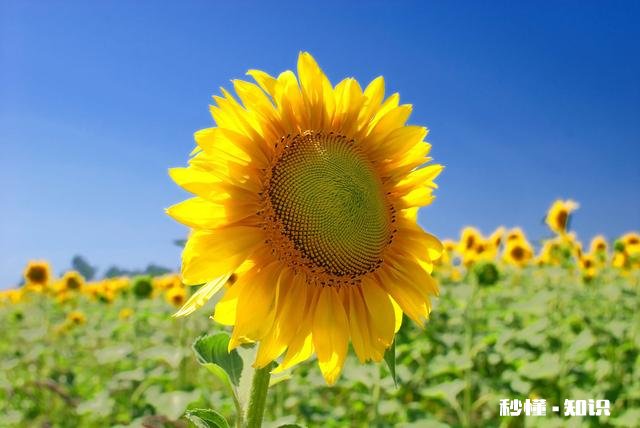 创业失败了,不知道下步怎么走,有没有大神指个方向