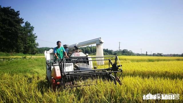 存款10万能在农村做些什么