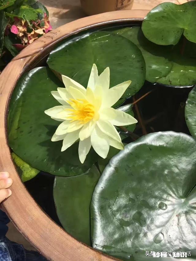 圣诞节送老婆什么礼物比较好