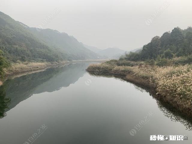 路亚对象鱼冬天水库鱼藏在什么地方