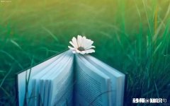 经典文学为什么有人觉得不好看