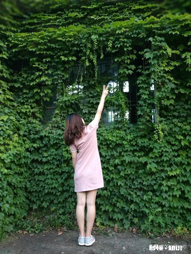 初恋一般是真爱吗