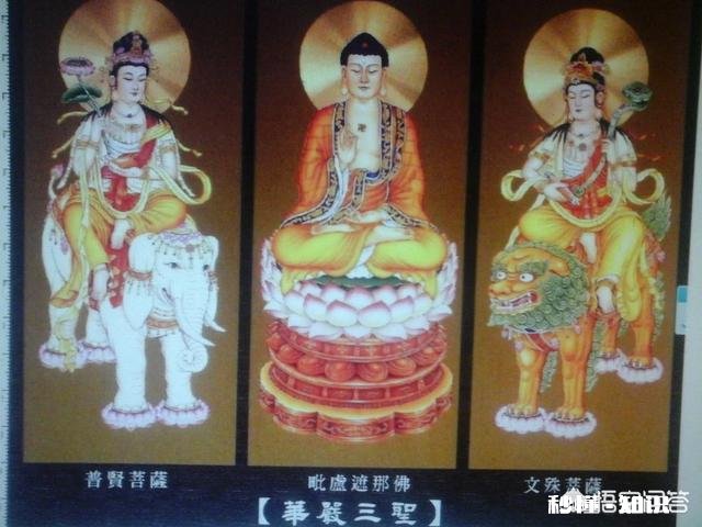 什么样的人能称为“佛系”