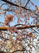 学生不爱做作业，跟家长讲也没用，怎么办怎么沟通孩子懒惰的原因