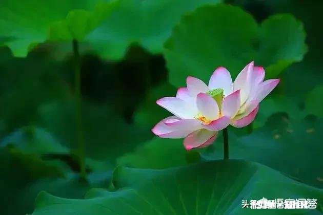 女朋友 你男朋友跟你分手时用的什么理由