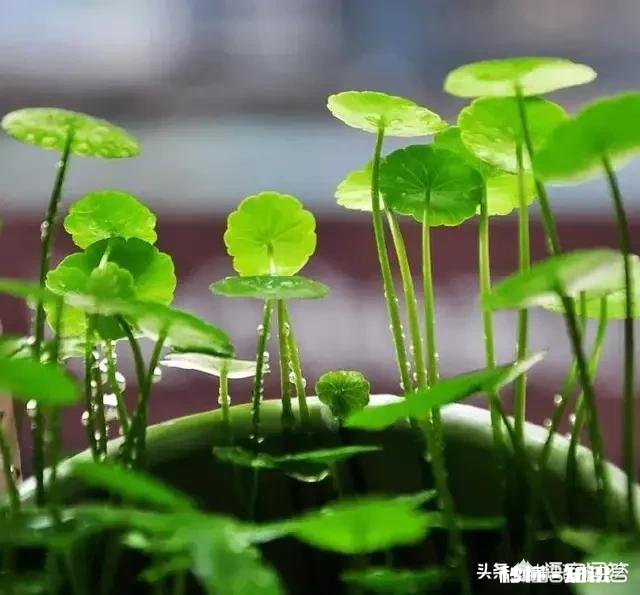 女朋友 你男朋友跟你分手时用的什么理由