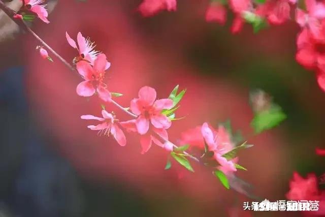 女朋友 你男朋友跟你分手时用的什么理由