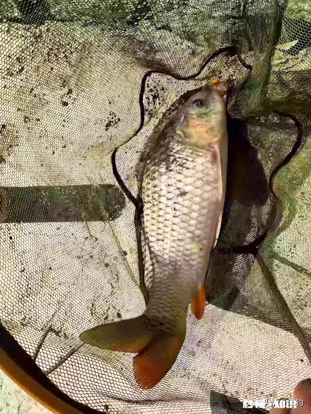 矶竿滑漂抛投怎么知道到了窝子没有