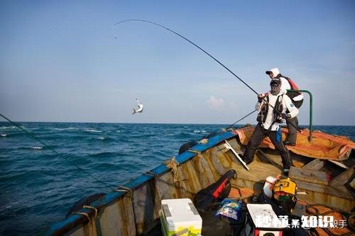 矶竿滑漂抛投怎么知道到了窝子没有