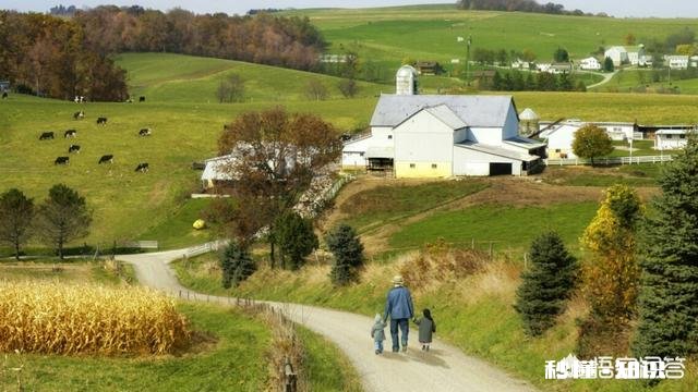 如何对个体的心理行为正常与否做出判断