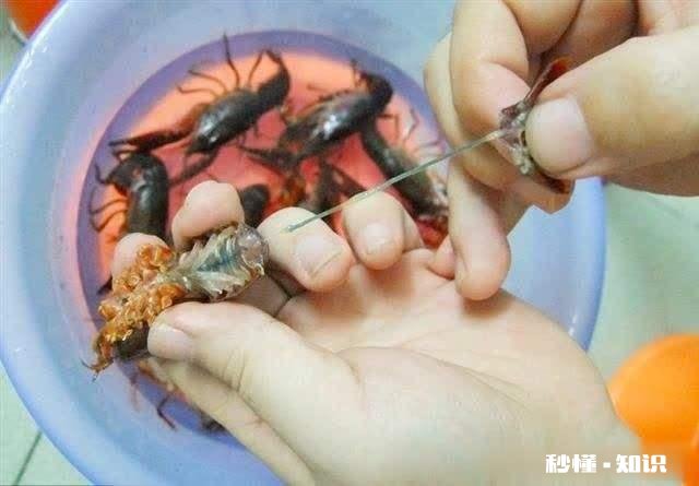 襄阳什么地方的虾子最好吃