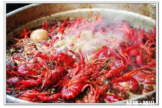 襄阳什么地方的虾子最好吃