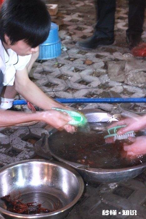 襄阳什么地方的虾子最好吃