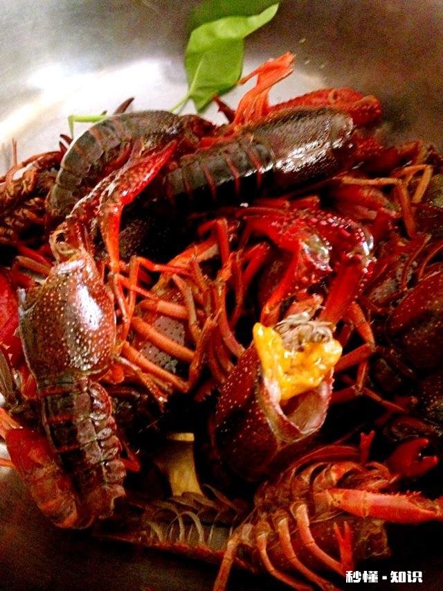 襄阳什么地方的虾子最好吃