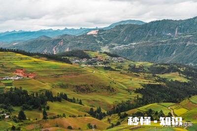 请问各位，大家觉得发些什么样的吃鸡视频，才得到更多人的支持