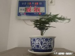 生活又过去半年了，下半年想咋过