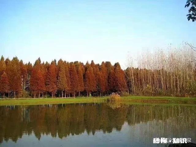 要写作文，想法很多，动笔困难，怎么办