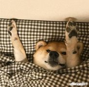 你认为异地恋的价值在何处