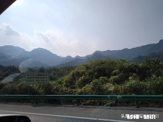 女孩子真的一定要嫁人吗