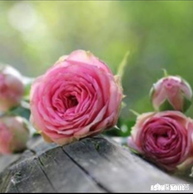 你人生中最尴尬的事情是什么