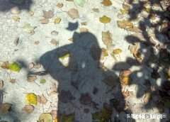 年少的你有没有为了一个人拼命过(奋斗）有何感受