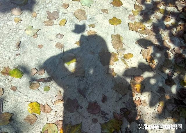 年少的你有没有为了一个人拼命过(奋斗）有何感受