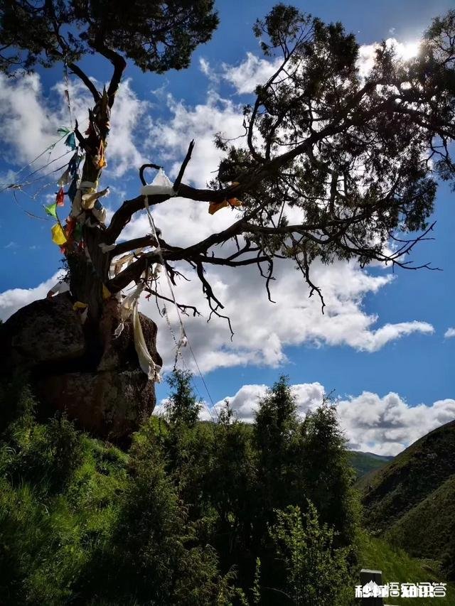 西安到青海自驾游15天有哪些路线可选择