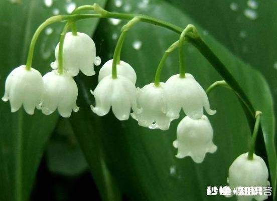 想让室内空气好一点,怎么办