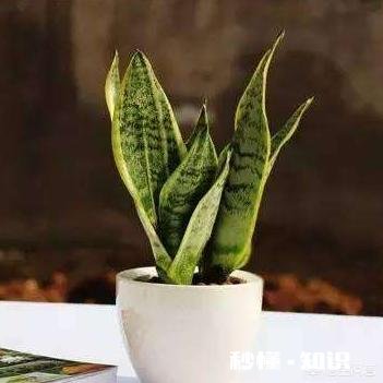 想让室内空气好一点,怎么办