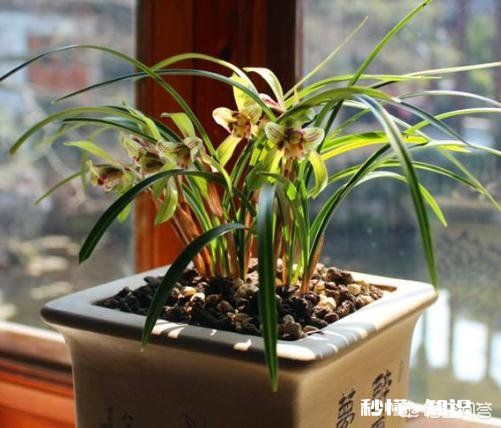 想让室内空气好一点,怎么办