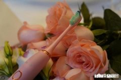 如何选购电动牙刷