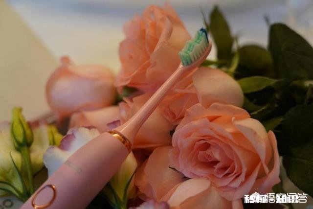 如何选购电动牙刷