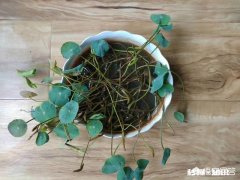 读书能让人走出困境吗