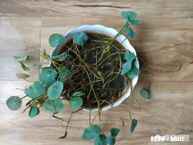 读书能让人走出困境吗