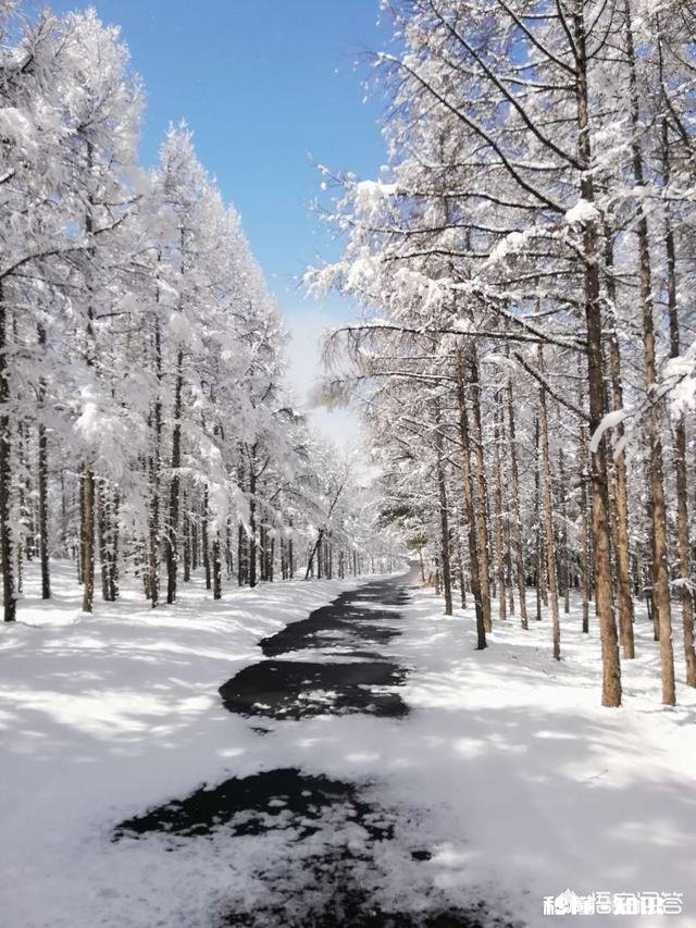 读书能让人走出困境吗