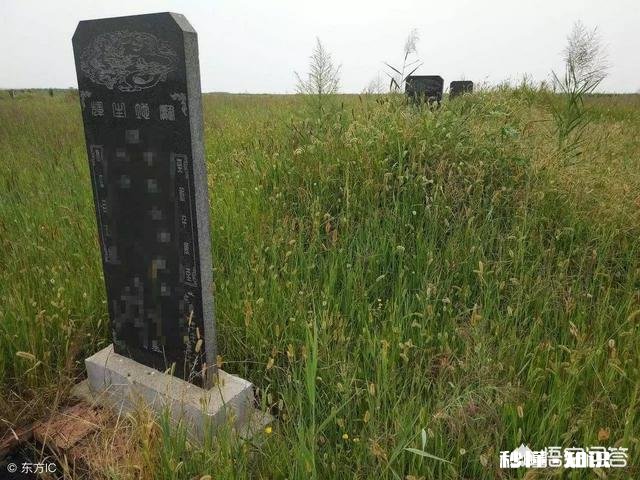 在你人生中，最难理解的事有哪些