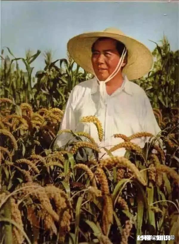 我是在校大学生一枚，不知道为什么总是自己给自己很多很多压力，敏感自卑也在意他人眼光，很累，怎么缓解